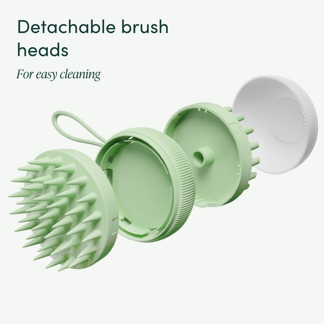 Charlotte Scalp Massager